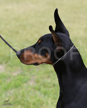 1.RDP_0303