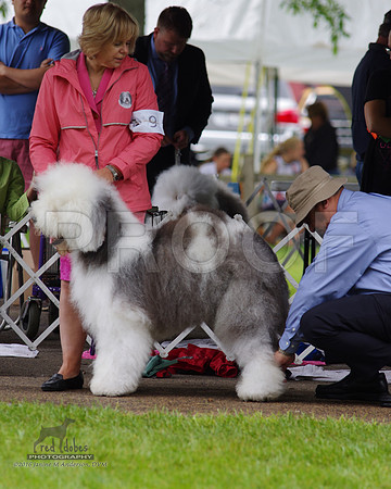 1.IMGP5992