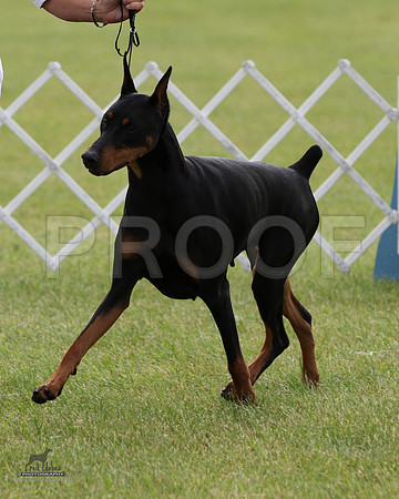 1.RDP_8800