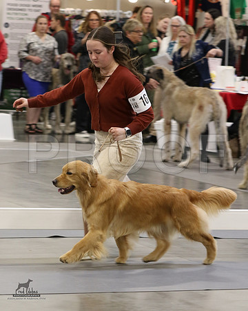 1.RDP_8467