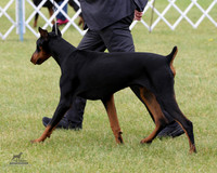 1.RDP_8435