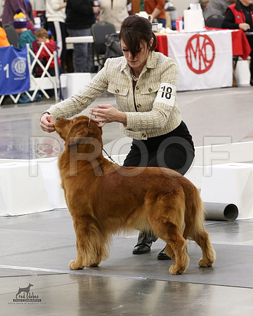 1.RDP_8487