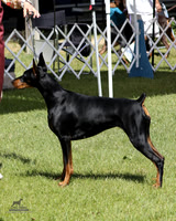 1.RDP_1516