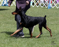 1.RDP_1541