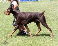 1.RDP_2171