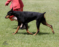 1.RDP_2202
