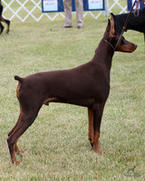 1.RDP_9535