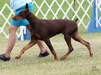 3.RDP_9510