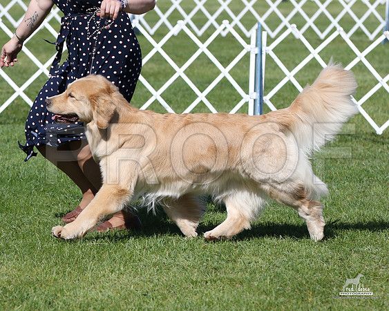 1.RDP_4777