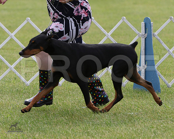 1.RDP_8794