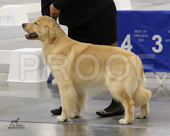 1.RDP_8579