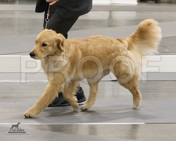 1.RDP_8403