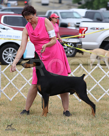 2.RDP_6837