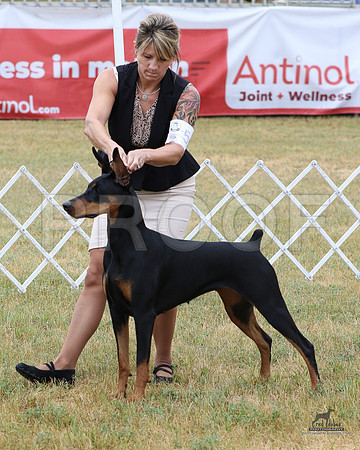 1.RDP_9773