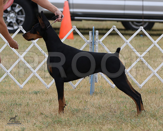 1.RDP_8406
