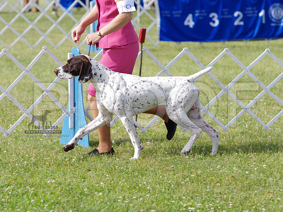 1.IMGP0773