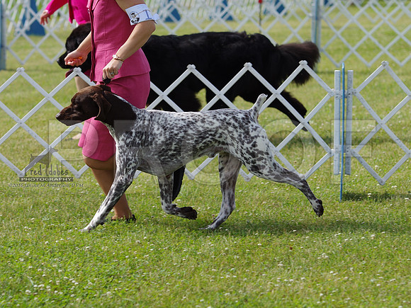 1.IMGP0952