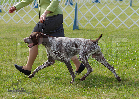 1.IMGP0935
