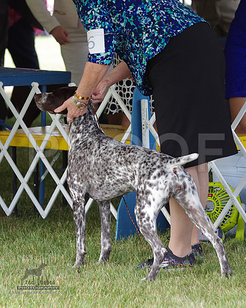 1.IMGP0902