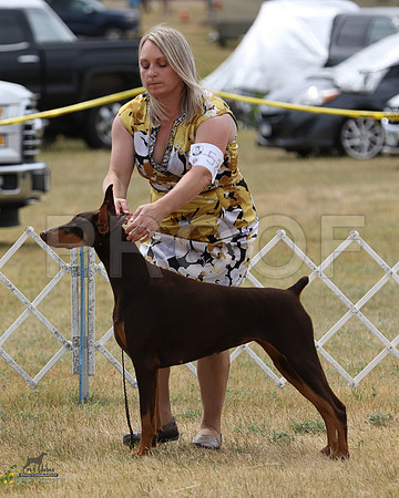 1.RDP_8459