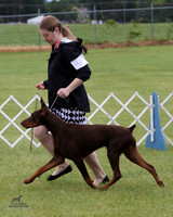 1.RDP_8449