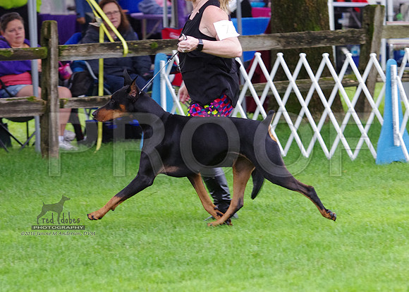 1.IMGP4759