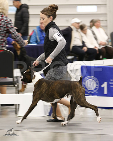 1.RDP_8006