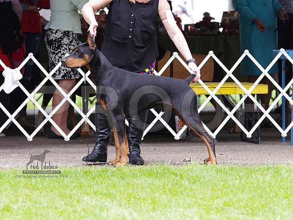 1.IMGP4791