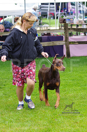 1.IMGP4948