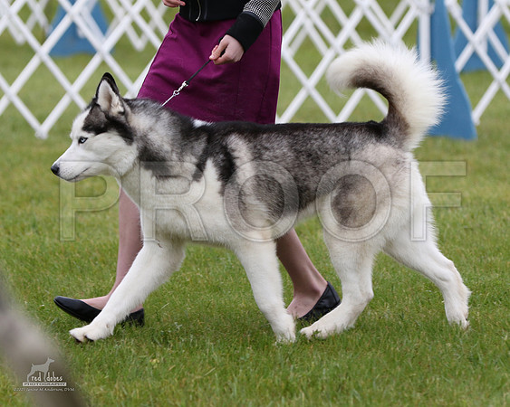 1.RDP_8021