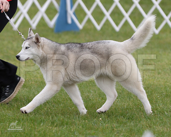 1.RDP_8114