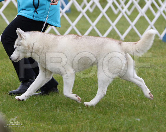 1.RDP_8210