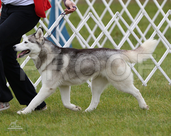 1.RDP_8259
