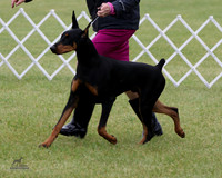 1.RDP_8430