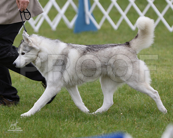 1.RDP_8311