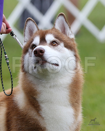 1.RDP_8010v2