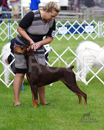1.IMGP5166