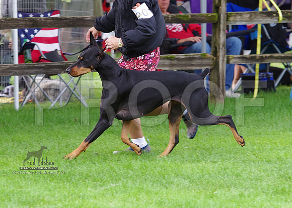 1.IMGP5396