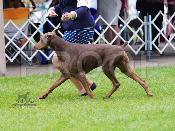 1.IMGP4870