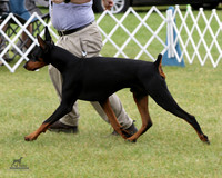 1.RDP_8469