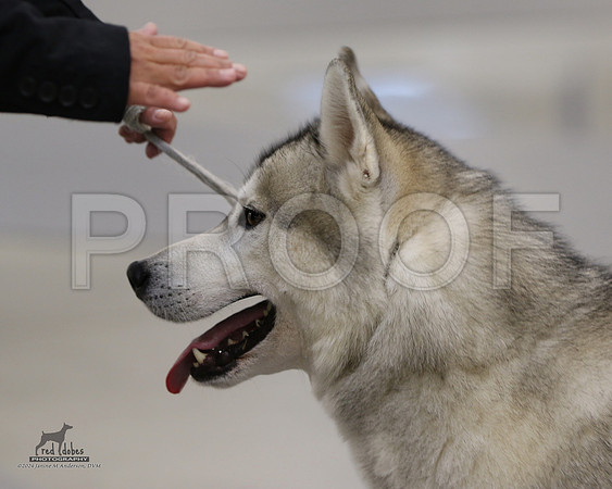 1.RDP_8325