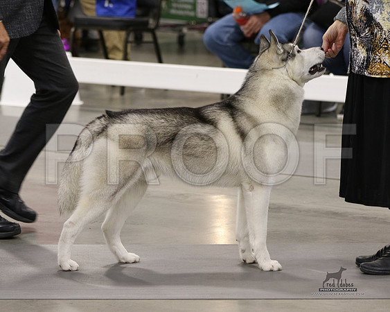 1.RDP_8341