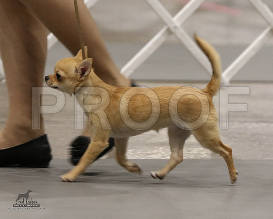 1.RDP_3745
