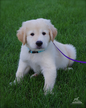 2.IMGP7810