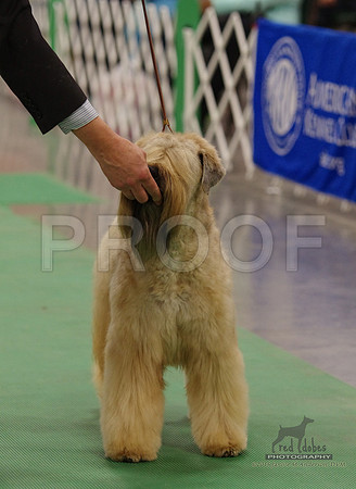 3.IMGP1599