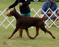 2.RDP_8512