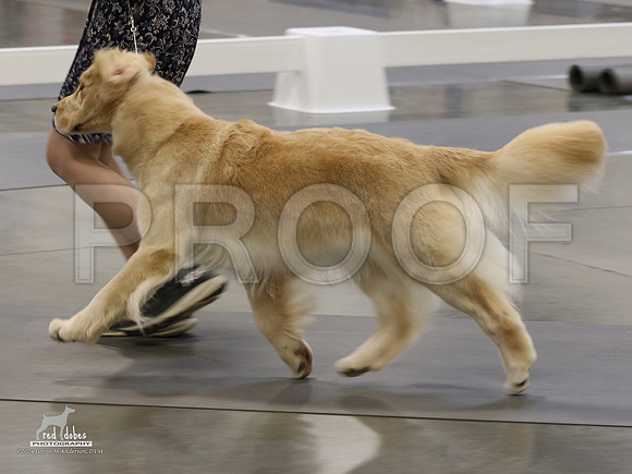 1.RDP_8482