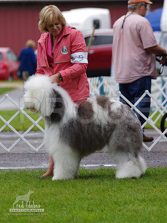 1.IMGP5963