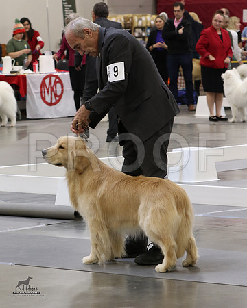 1.RDP_8389