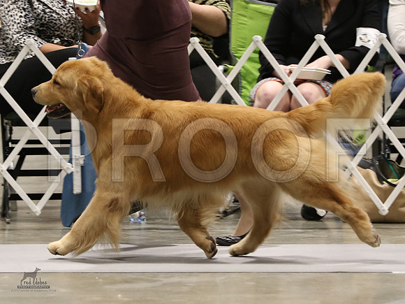 2.RDP_9438